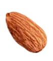Almendra Terra Artesana