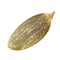 Semillas Terra Artesana