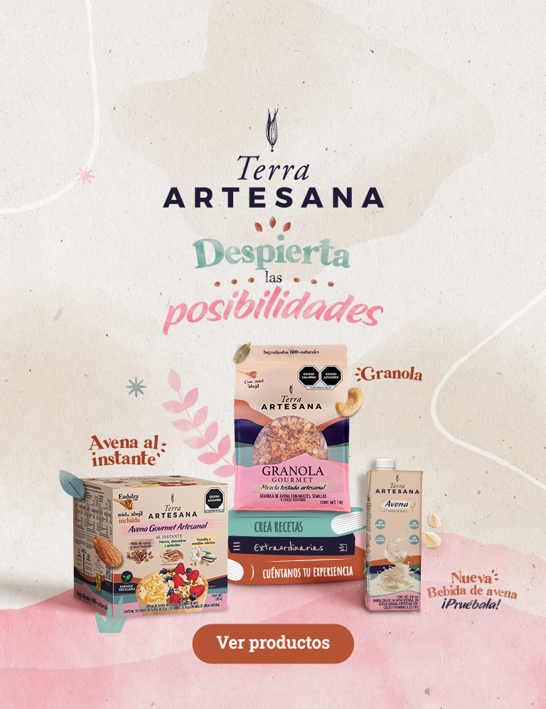 Terra Artesana Bebida de Avena 6 pzas de 946 ml